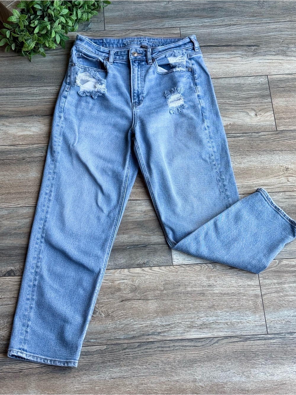 American Eagle Outfitters Light Blue Distressed  Jeans